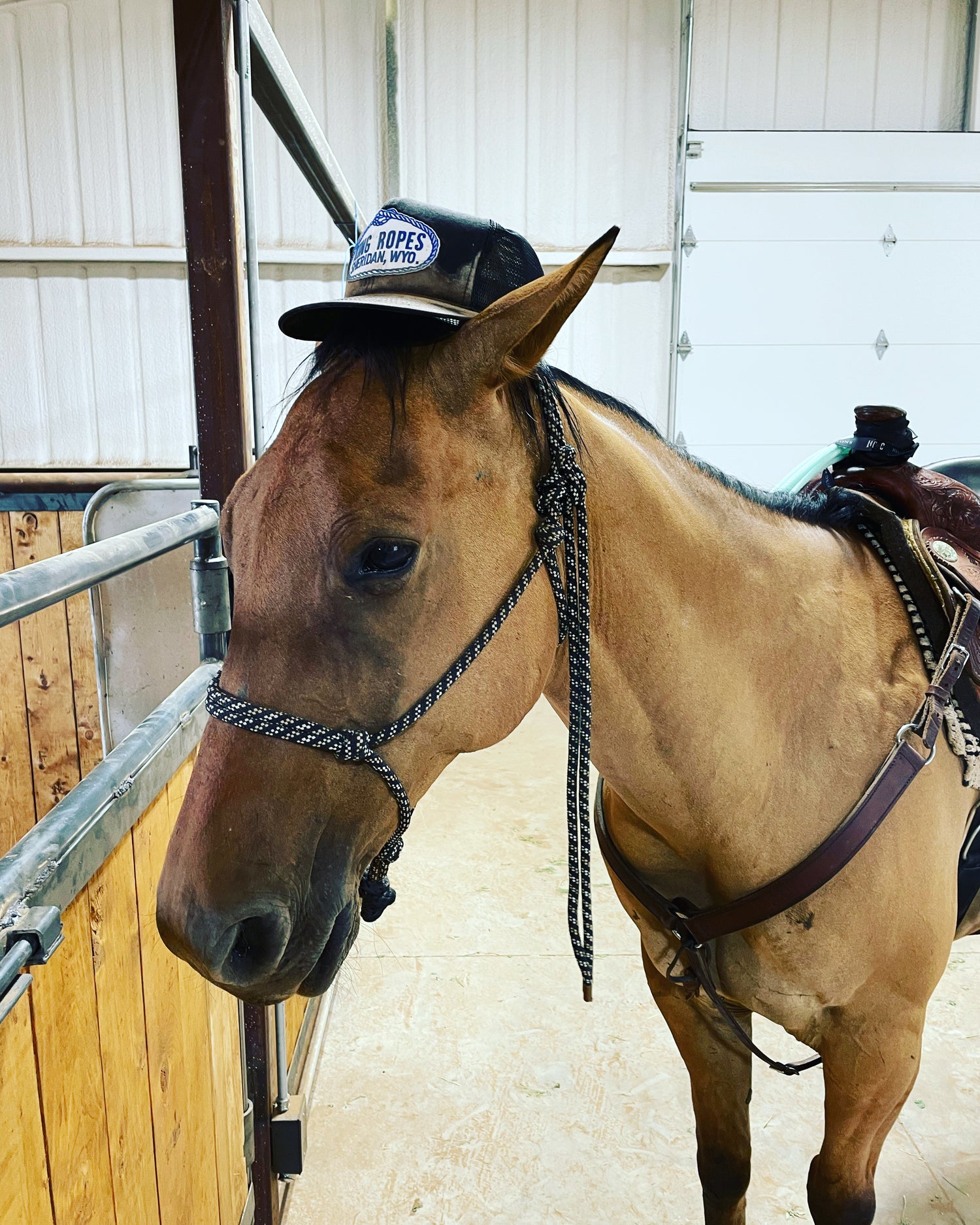 Horse items